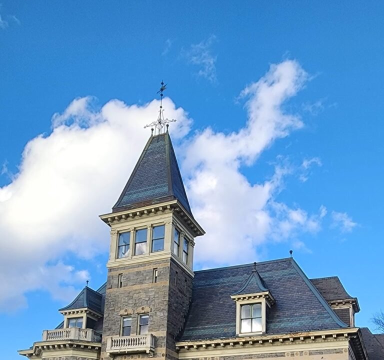 Soccer Field image 2