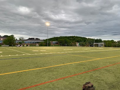 Soccer Field image 1