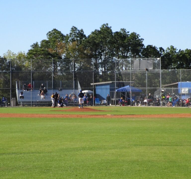 Soccer Field image 2