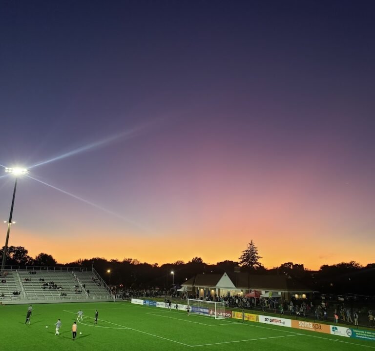 Soccer Field image 2
