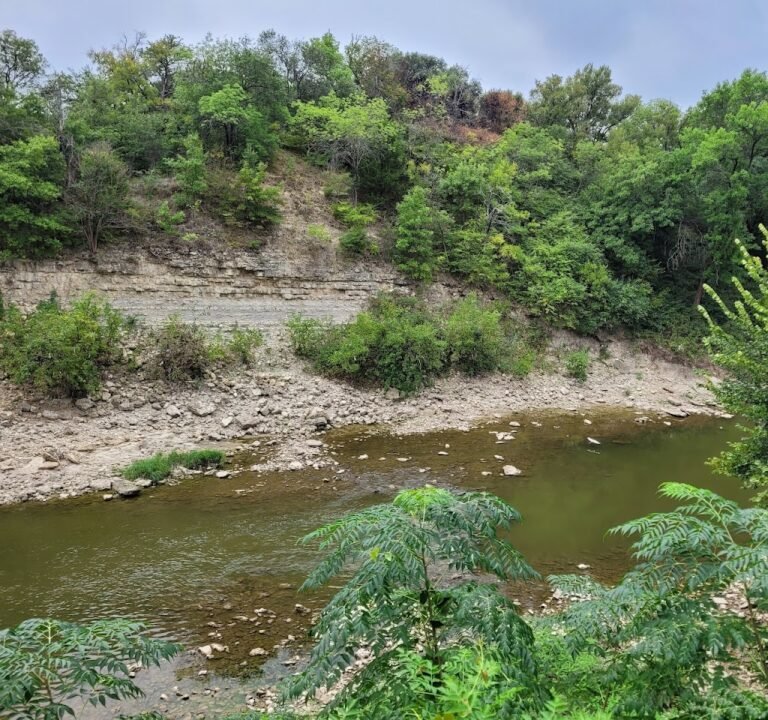 Soccer Field image 2