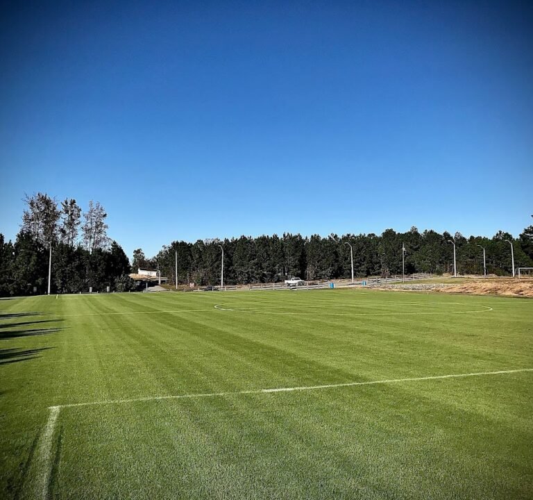 Soccer Field image 2