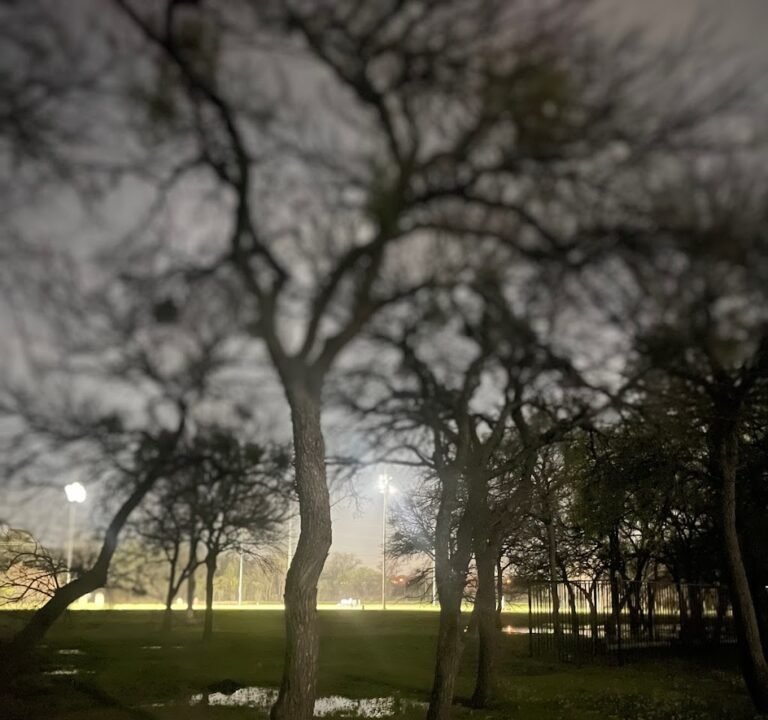 Soccer Field image 2