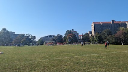 Soccer Field image 1