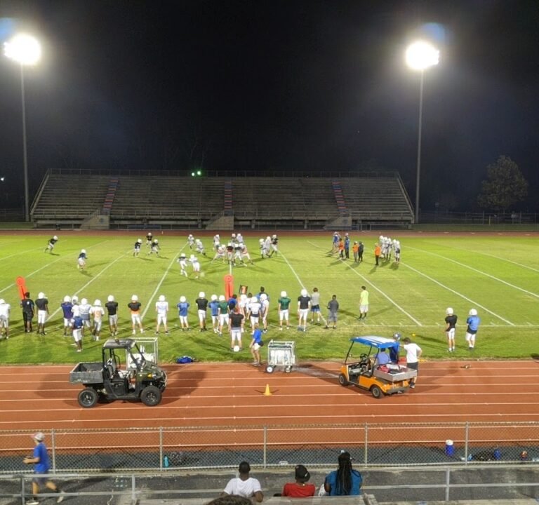 Soccer Field image 2