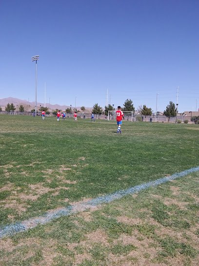 Soccer Field image 1