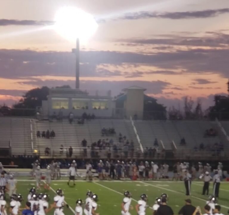 Soccer Field image 2