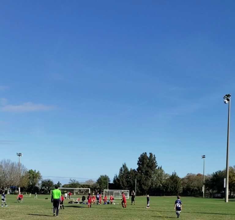 Soccer Field image 4