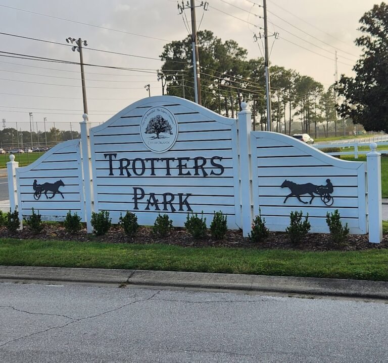 Soccer Field image 2