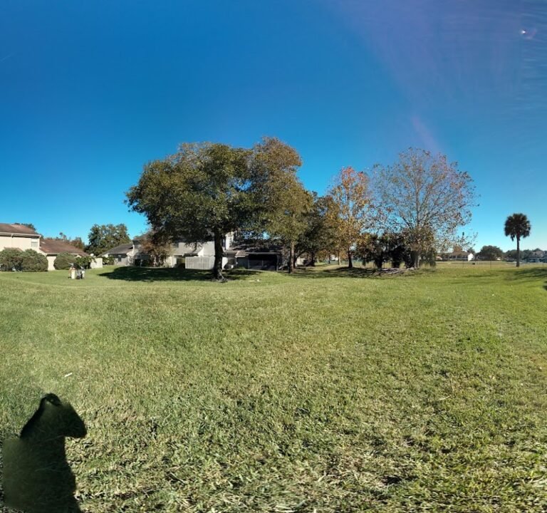 Soccer Field image 3