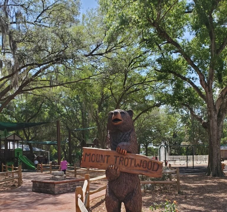 Soccer Field image 2