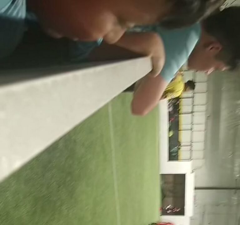 Soccer Field image 4