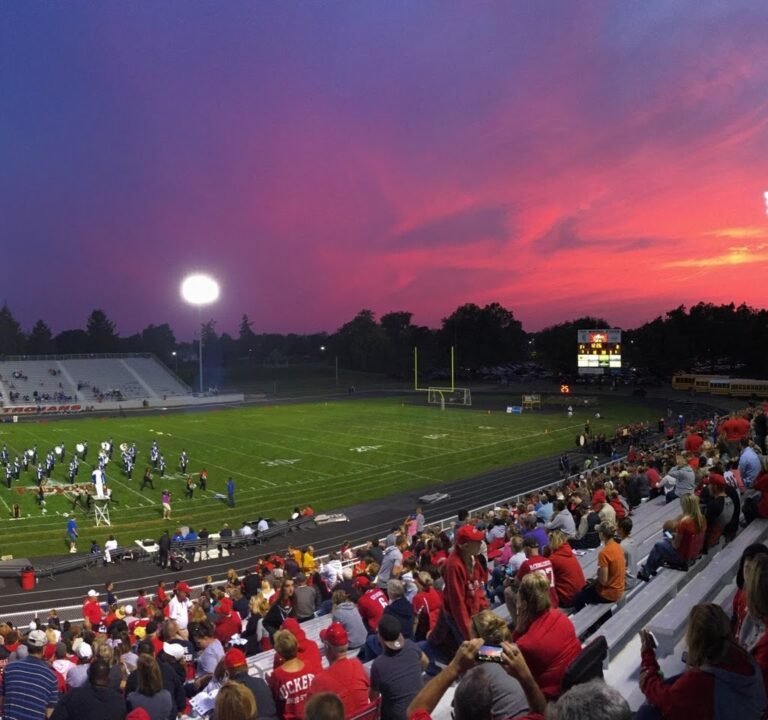 Soccer Field image 2