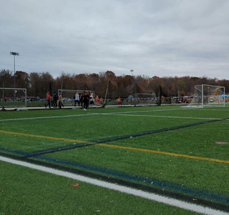 Soccer Field image 4