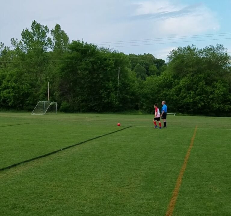 Soccer Field image 3