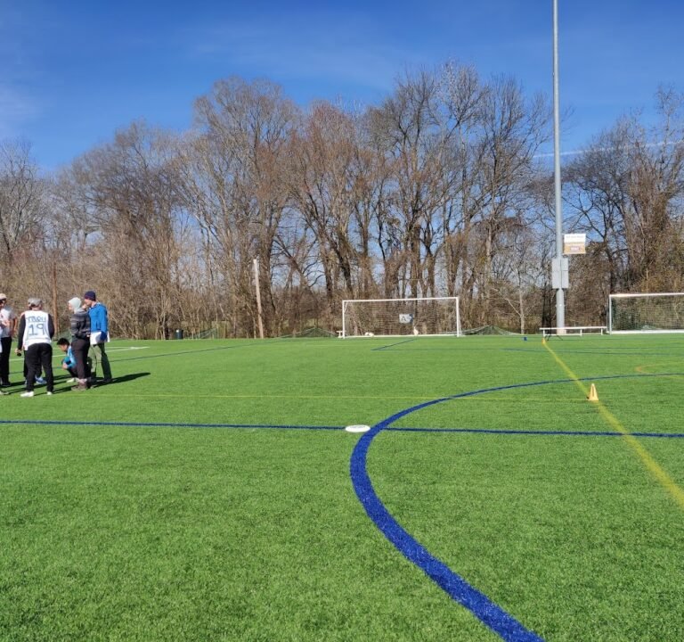 Soccer Field image 2