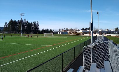 Soccer Field image 1