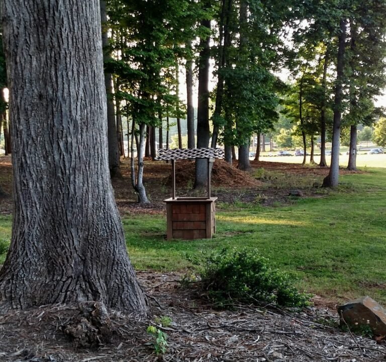 Soccer Field image 2