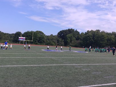 Soccer Field image 1