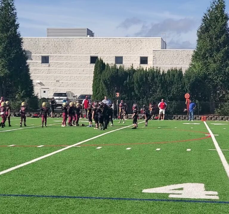 Soccer Field image 2