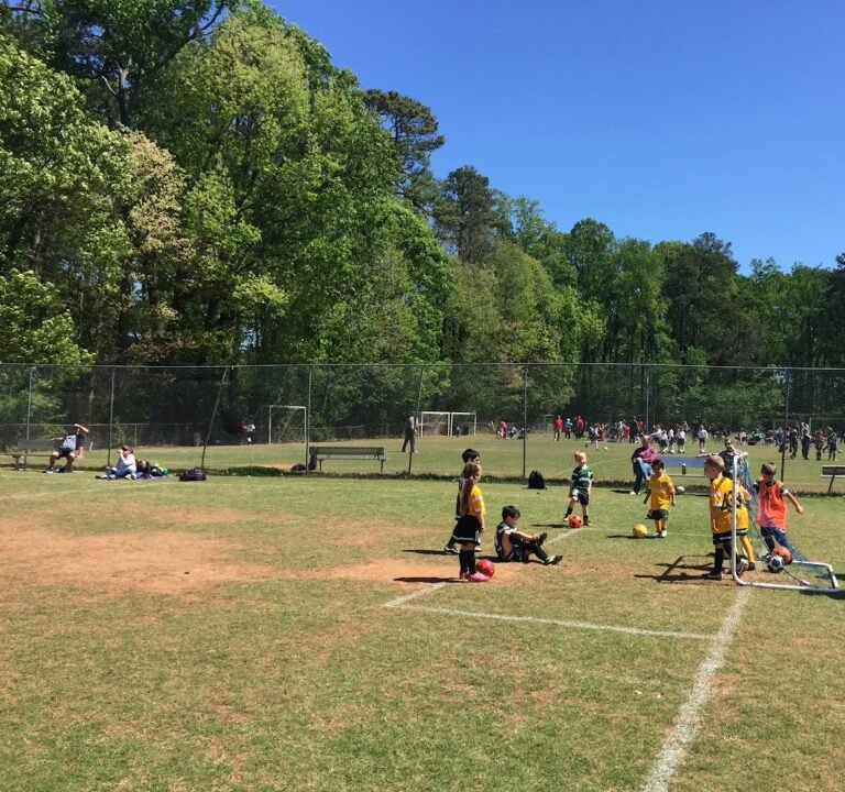 Soccer Field image 2