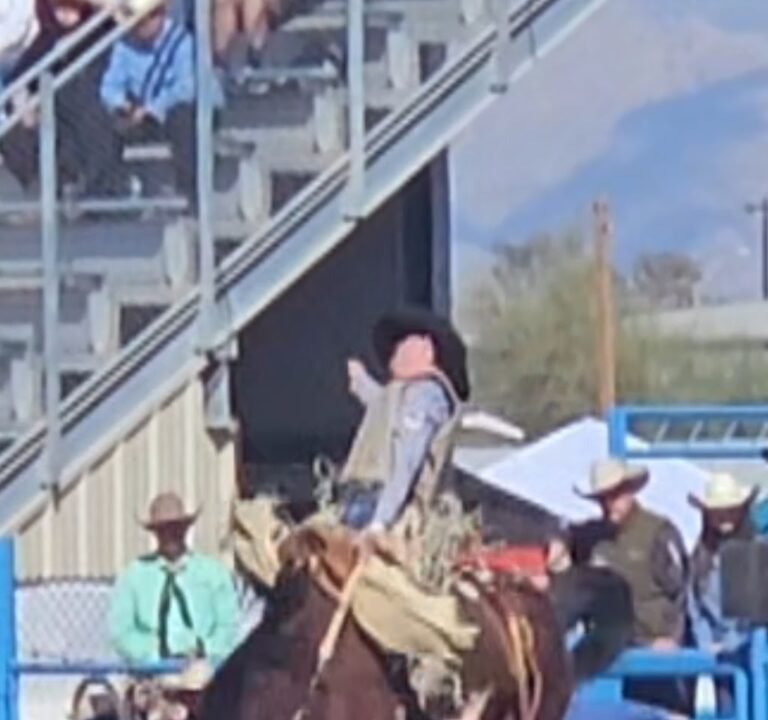 Soccer Field image 3