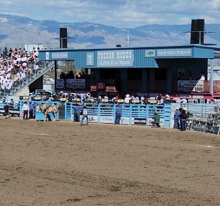 Soccer Field image 4