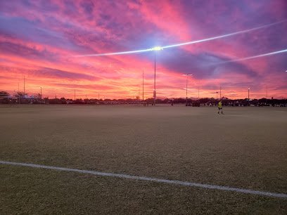 Soccer Field image 1