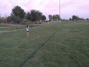 Soccer Field image 1