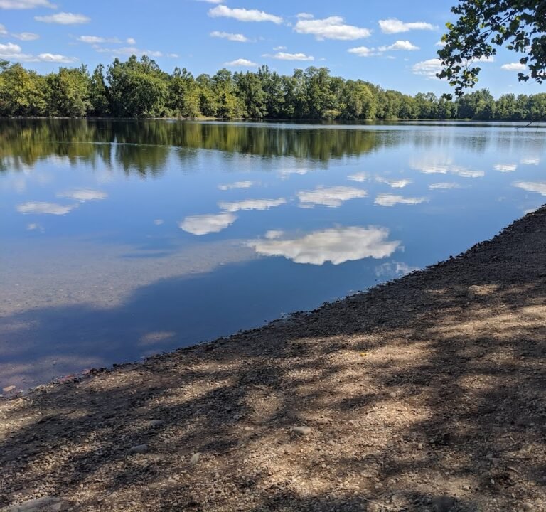 Soccer Field image 2