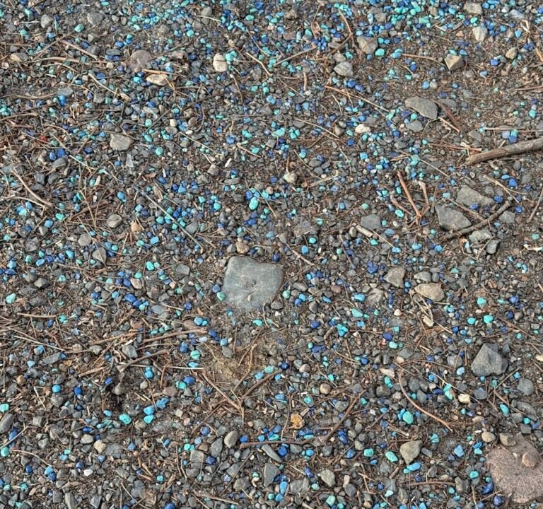 Soccer Field image 3