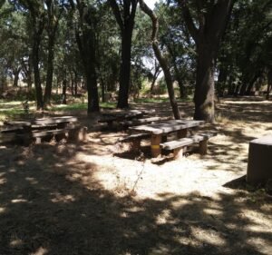Soccer Field image 2
