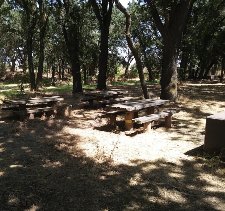 Soccer Field image 2