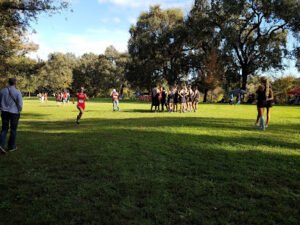 Soccer Field image 1