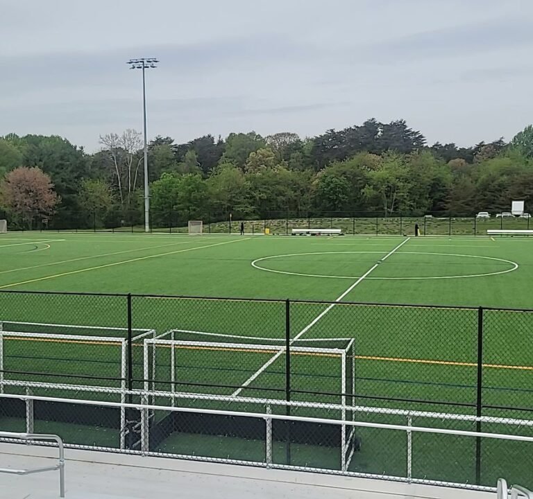Soccer Field image 3