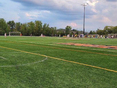 Soccer Field image 1