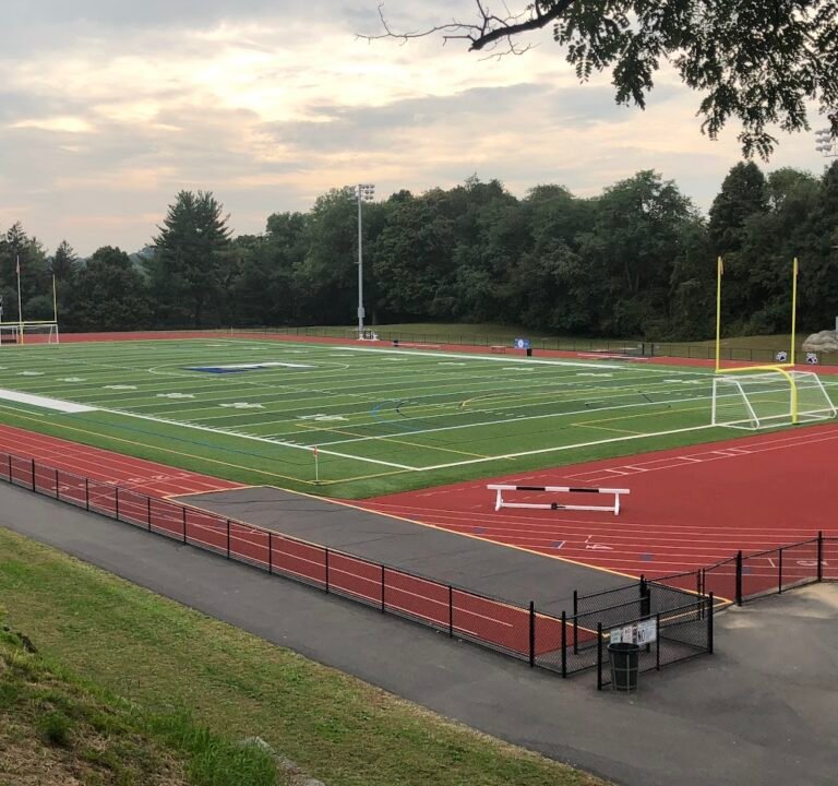 Soccer Field image 2