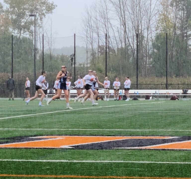 Soccer Field image 2