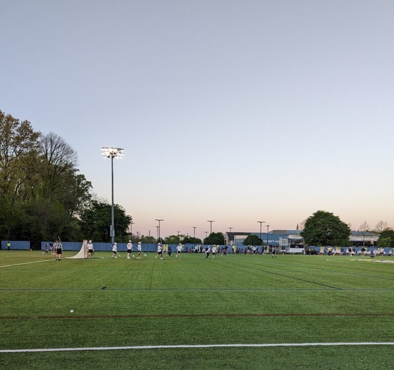 Soccer Field image 2