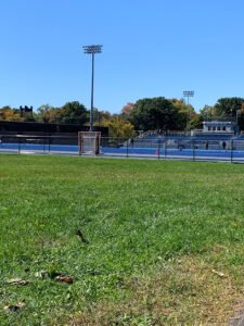 Soccer Field image 1