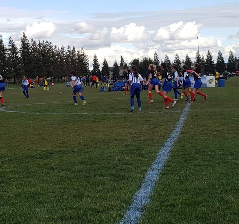 Soccer Field image 3