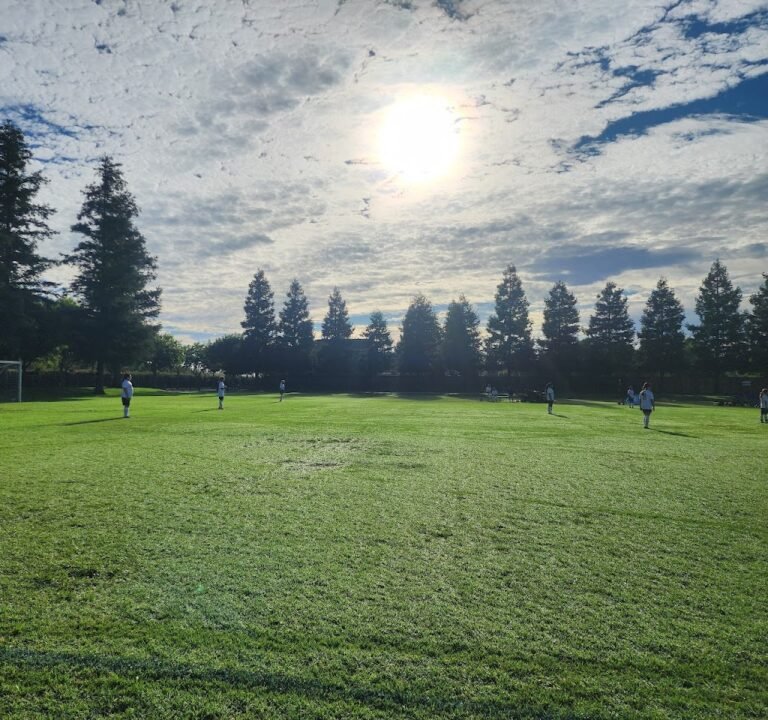 Soccer Field image 2