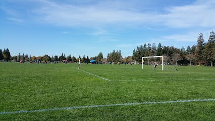 Soccer Field image 1