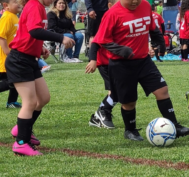 Soccer Field image 2