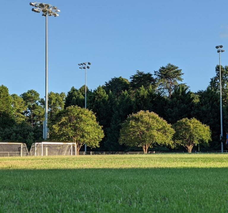 Soccer Field image 2