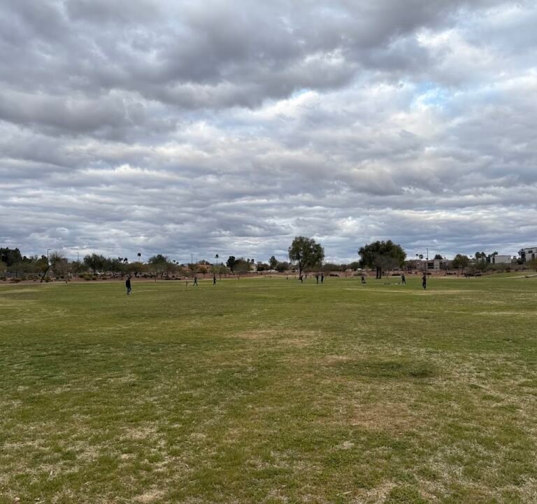 Soccer Field image 3