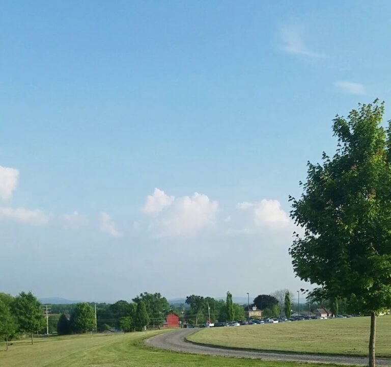 Soccer Field image 3