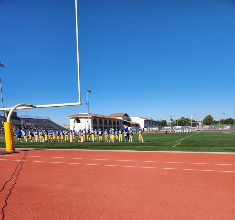 Soccer Field image 2