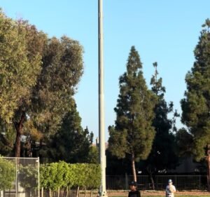 Soccer Field image 4