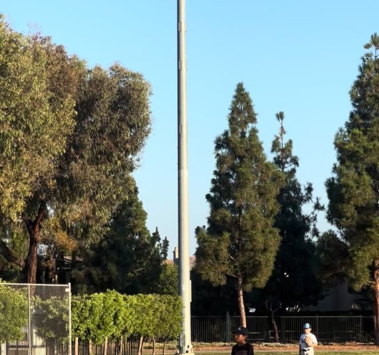 Soccer Field image 4